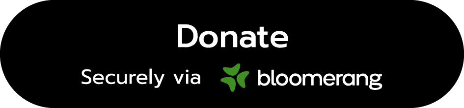 Donate Bloomerang Button